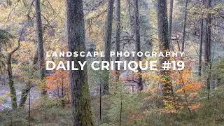 Ежедневная критика пейзажной фотографии #19
