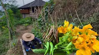 A busy day in my garden, My first Vegetable Harvest this year 