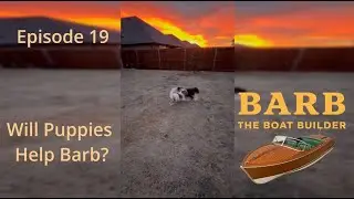 Episode 19:  Will Puppies Help Barb?