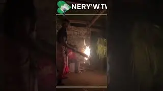 Retour aux sources : le Bwiti, l'iboga 🌳🔥🇬🇦