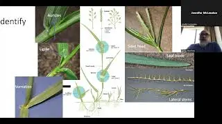 Turfgrass 101: Focusing on the Basics by Greg Munshaw, Ph.D.