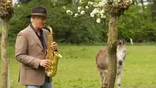 Henk Bernhardt   -   Just a Melody