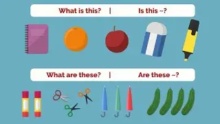 🟡 Noun | What is this? | What are these? | Is this~? | Are these~? | Pattern English