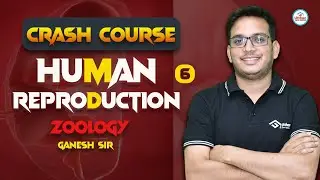 HUMAN REPRODUCTION CLASS 12  | CRASH COURSE CUET | JET 2024 | ZOOLOGY | NCERT LINE BY LINE  | CUET