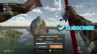 The Fisherman. ( Fishing Planet ). Delta San Hawking. Crapet arlequin.