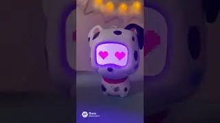 Happy 40th Birthday Spot!