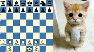 Can I Beat 1 Elo Bot Mittens with 9 BISHOPS?
