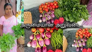Ipadi Oru Aruvadai Ah paathathee Illai ☺️☺️#trending #garden #viralvideo #gardening 