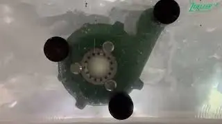 Zoeller Shark Series 2702 Grinder Pump Test Video