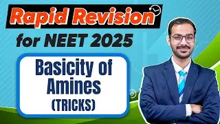 Basicity of Amines | Chemistry | Rapid Revision for NEET 2025