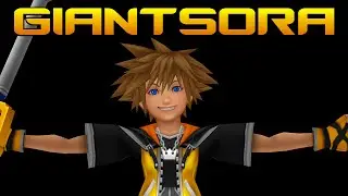 SORA'S BACK
