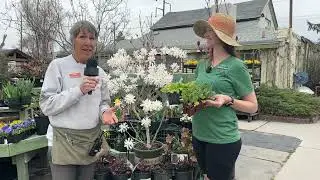 TV Garden Guy - Broadcasting from Millcreek Gardens April 10, 2024