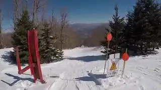 Big T Glades- Belleayre, NY