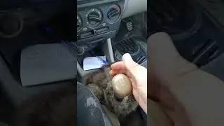 كيفية الإنطلاق بالسيارة 