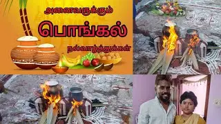 அனைவருக்கும் பொங்கல் நல்வாழ்த்துக்கள். Pongal celebration full video @Yuguskitchen 