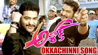 Okkachinni Song - Jr  NTR Songs - Ashok Movie Video Songs - Jr  NTR, Sameera Reddy