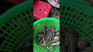 @thuysanwork ✅ Nhiều C&aacute; Đặc Sản: C&aacute; Th&ograve;i L&ograve;i, C&aacute; Leo, C&aacute; M&egrave; Vinh & C&aacute; He S&ocirc;ng #cadacsan @GoFishLive​