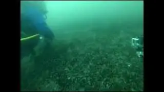 Scuba Diving, Bulgaria, Nessebar & Primorsco, Black Sea - Dmitry Maximov GoPro