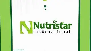 Phylgreen 200