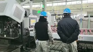 Tenon Automatic Horizontal Seaming Machine 全自动卧式磨边机
