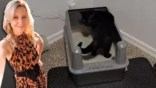 Extra Large Stainless Steel Cat Litter Box | Review + Demo