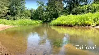 FOREST RIVER - Beautiful nature with natural sounds | Лесная река, природные звуки, красота