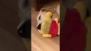 Tucker love moments.