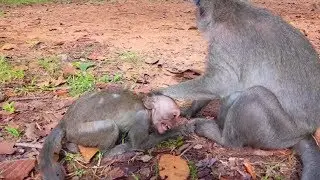 Oh no Mum !!! Jade angry Julina & fight cos tricky need milk, Adult baby hungry milk why 9