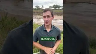 Что такое &laquo;большая пятерка&raquo; Африки?
