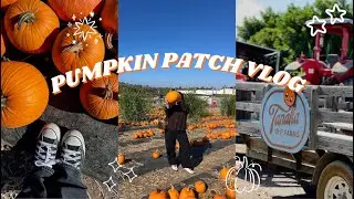 FALL VLOG! Tanaka Farms Pumpkin Patch I The Sisterly Diaries