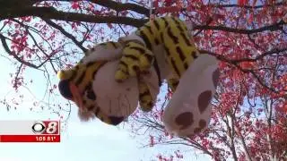 Iron Bowl 2016 Auburn Tailgate