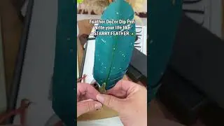 Write Your Own Fantastic Life with Feather Decor Dip Pens! #dippen #pentok #nicepen