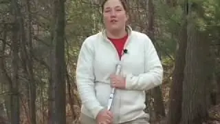 Recreational Fun For The Holidays