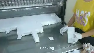 Production Line of Cotton Pads with Box Holder from Little Cotton