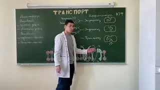 Транспорт. Биохимия