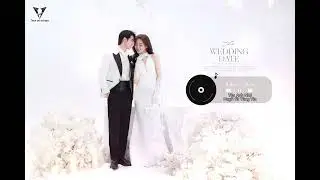 50 bài hát wedding and love cho các cặp đôi