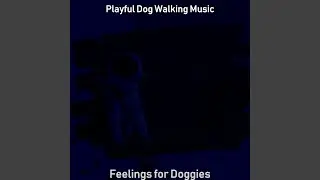 Distinguished Music for Afternoon Dog Walks