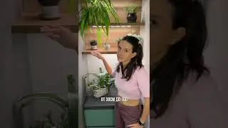 Артикул 480148443 WB.