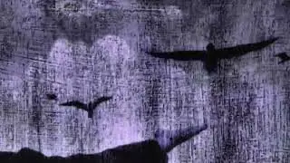 Flawed Mangoes - Missing Pieces (Slowed) [Visualizer]