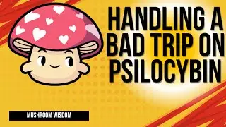 How to Handle a Bad Magic Mushroom Trip (Stay Calm & Ride the Waves) 🍄✨