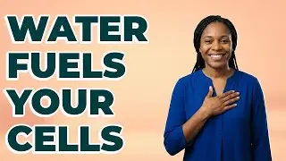 How Does Water Carry Nutrients To All Cells?