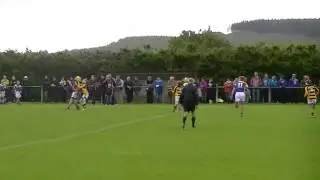 U-14 Hurling Final Rathnure v Geraldine O Hanrahans .