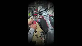 The Detail Garage & Supply Co. 2002 Harley Davidson Dyna Glide