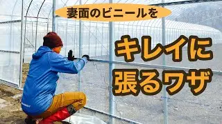 【ビニールハウス建て】プロ直伝！妻面のビニール張りを紹介