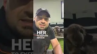 The Dog Exercise Myth