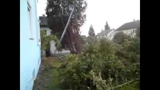 Baum f&auml;llt in unseren Zaun