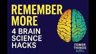 The Brain Science of Memory: 4 Tips to Help You Remember More | Fewer Things Better Ep. 175