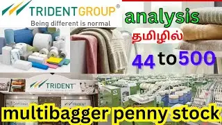 Trident Ltd 2024 analysis tamil