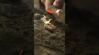 Der Beste nat&uuml;rliche Zunder! #bushcraft