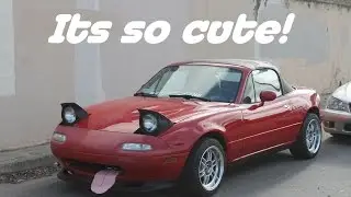 Lowered the IS and Mustang Some More! & Miata Makeover!
